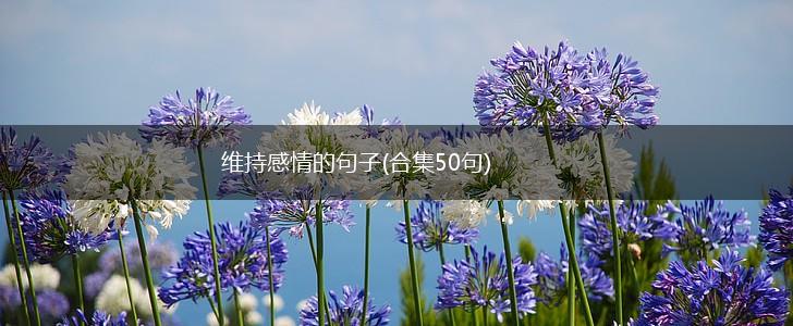 维持感情的句子(合集50句),第1张