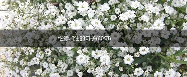 继续加油的句子(60句),第1张