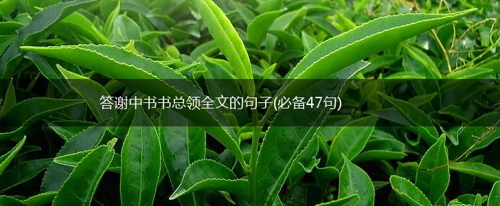 答谢中书书总领全文的句子(必备47句),第1张
