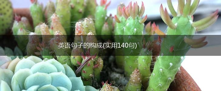 英语句子的构成(实用140句),第1张