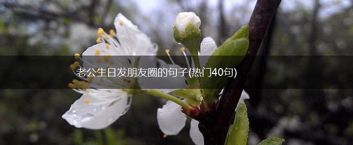 老公生日发朋友圈的句子(热门40句),第1张