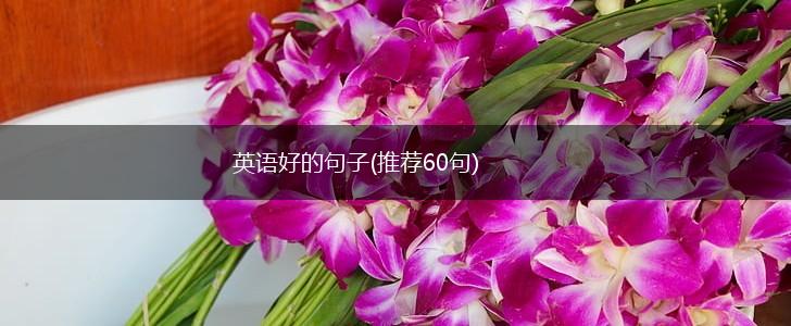 英语好的句子(推荐60句),第1张