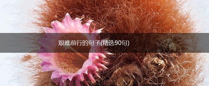 艰难前行的句子(精选90句),第1张
