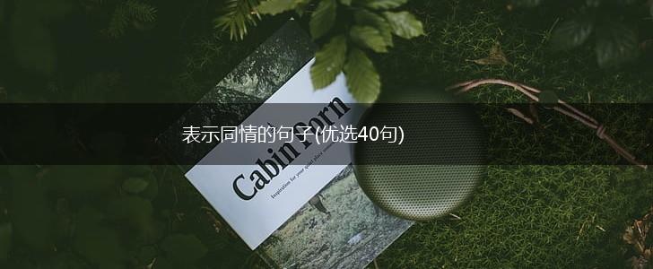 表示同情的句子(优选40句),第1张