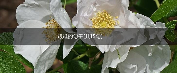 艰难的句子(共15句),第1张