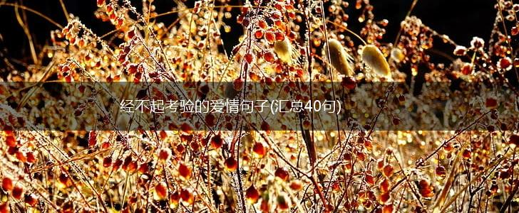 经不起考验的爱情句子(汇总40句),第1张