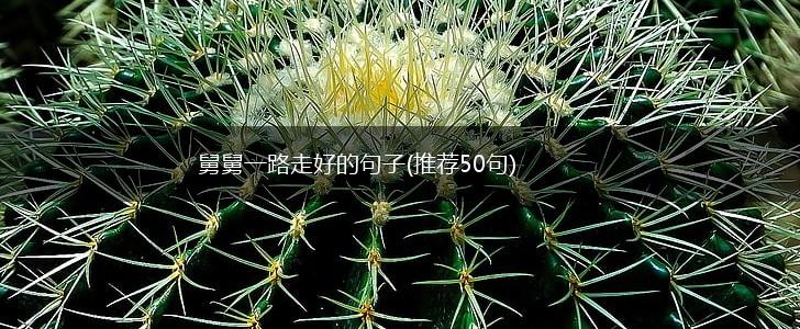舅舅一路走好的句子(推荐50句),第1张