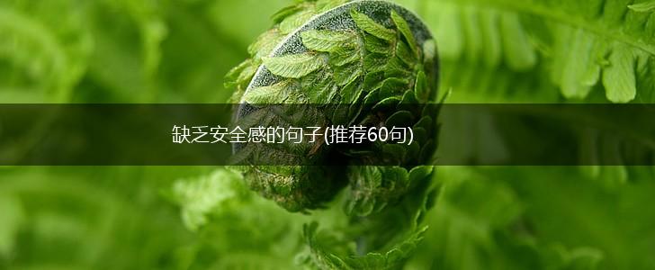 缺乏安全感的句子(推荐60句),第1张