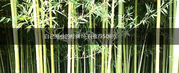 自己开业的经典句子(推荐50句),第1张