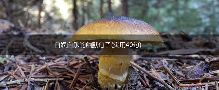 自娱自乐的幽默句子(实用40句),第1张