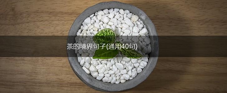 茶的境界句子(通用40句),第1张