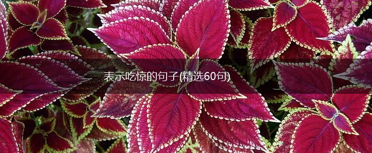 表示吃惊的句子(精选60句),第1张