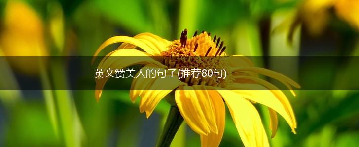 英文赞美人的句子(推荐80句),第1张