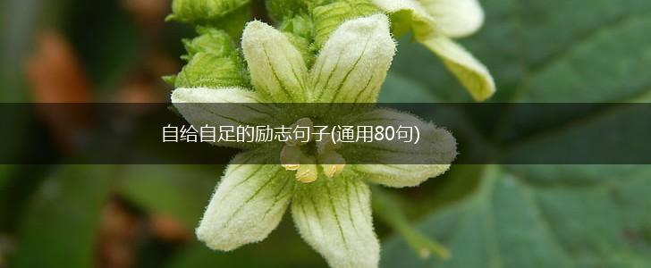 自给自足的励志句子(通用80句),第1张