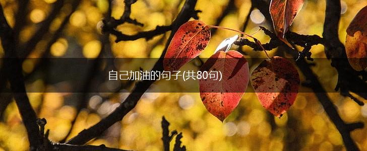 自己加油的句子(共80句),第1张