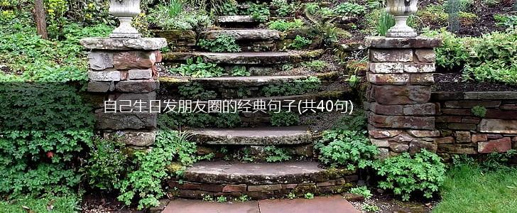 自己生日发朋友圈的经典句子(共40句),第1张