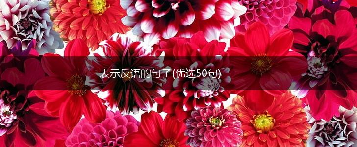 表示反语的句子(优选50句),第1张