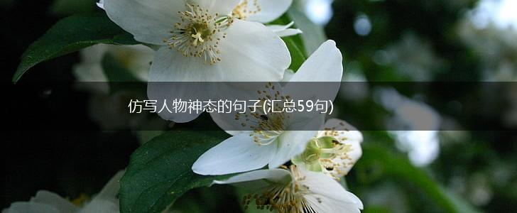 仿写人物神态的句子(汇总59句),第1张