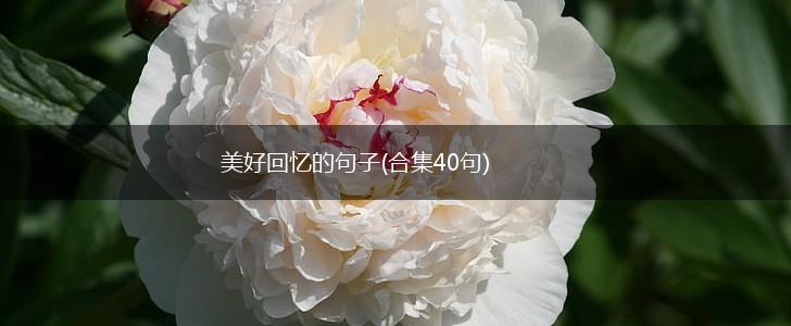 美好回忆的句子(合集40句),第1张