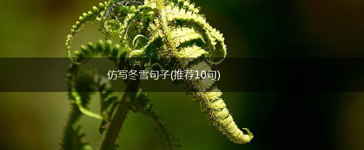 仿写冬雪句子(推荐10句),第1张