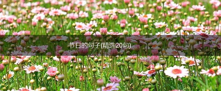 节日的句子(精选20句),第1张