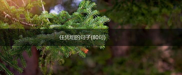任凭组的句子(80句),第1张