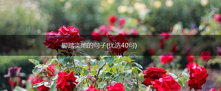 脚踏实地的句子(优选40句),第1张