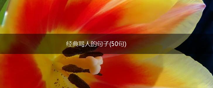 经典骂人的句子(50句),第1张