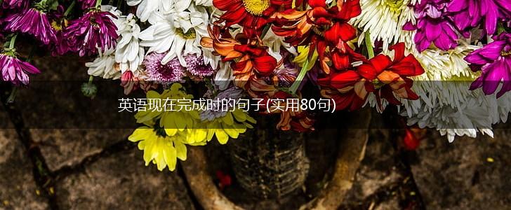 英语现在完成时的句子(实用80句),第1张