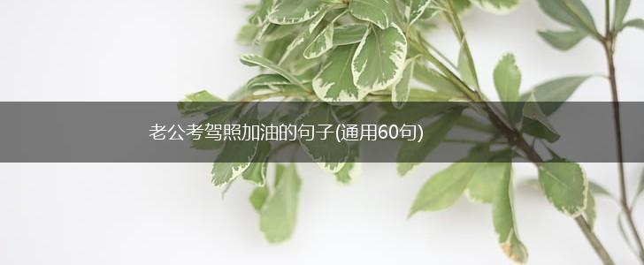 老公考驾照加油的句子(通用60句),第1张