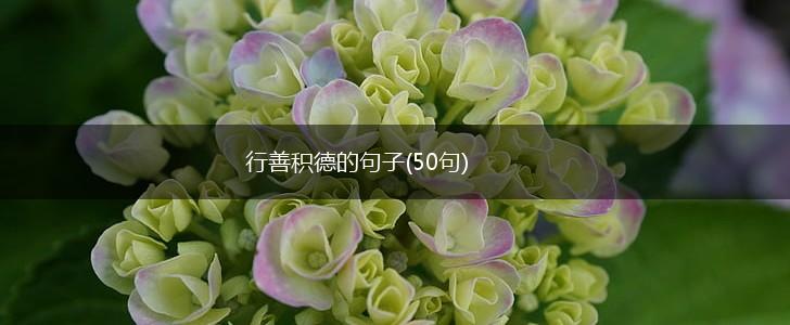 行善积德的句子(50句),第1张