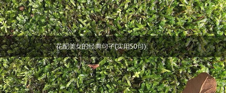 花配美女的经典句子(实用50句),第1张