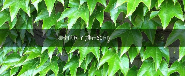 脚步的句子(推荐60句),第1张