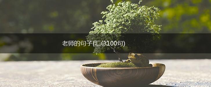 老师的句子(汇总100句),第1张