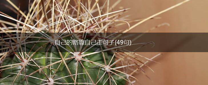 自己的路靠自己走句子(49句),第1张