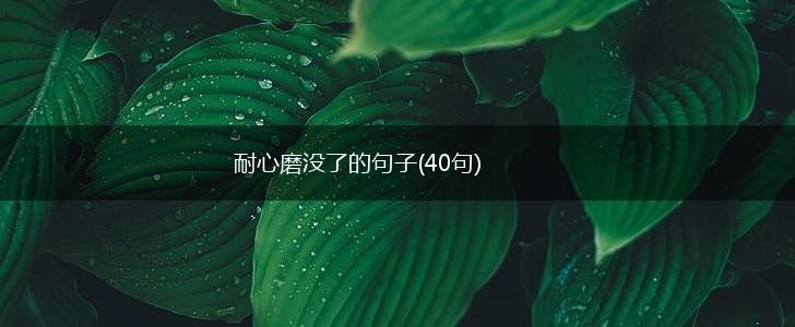 耐心磨没了的句子(40句),第1张