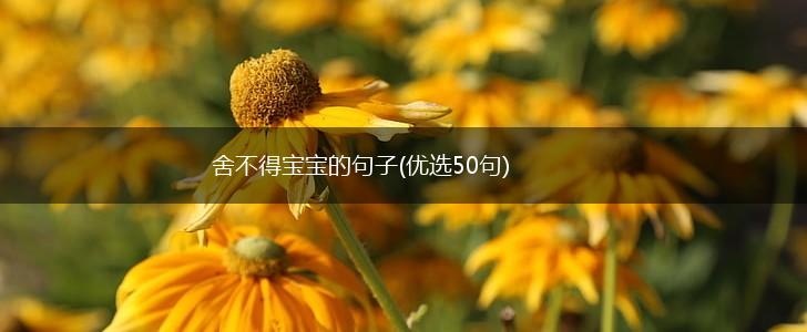 舍不得宝宝的句子(优选50句),第1张