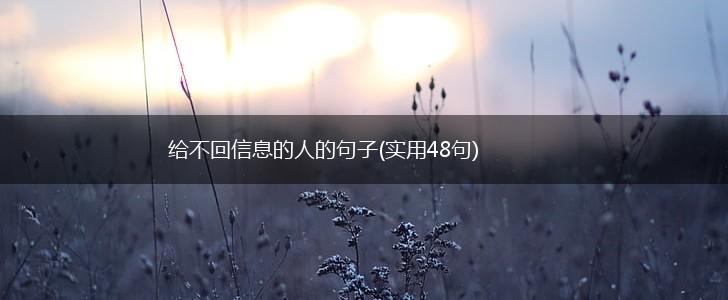 给不回信息的人的句子(实用48句),第1张