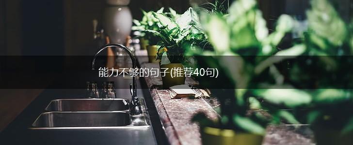 能力不够的句子(推荐40句),第1张