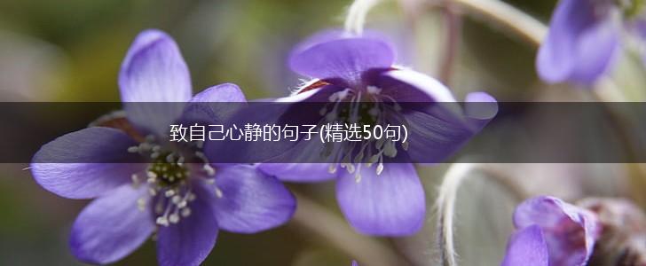 致自己心静的句子(精选50句),第1张