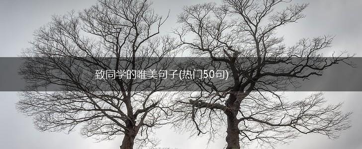 致同学的唯美句子(热门50句),第1张