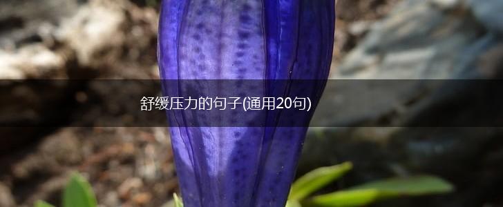 舒缓压力的句子(通用20句),第1张