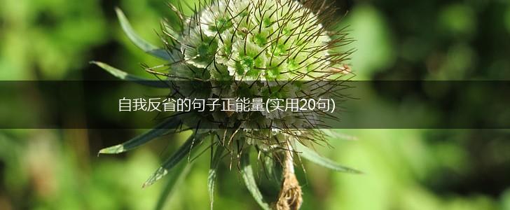 自我反省的句子正能量(实用20句),第1张