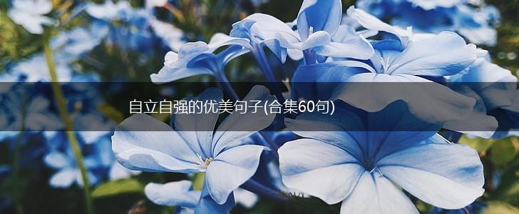 自立自强的优美句子(合集60句),第1张