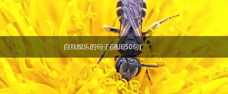 自我娱乐的句子(通用50句),第1张
