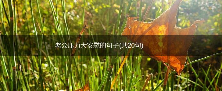 老公压力大安慰的句子(共20句),第1张