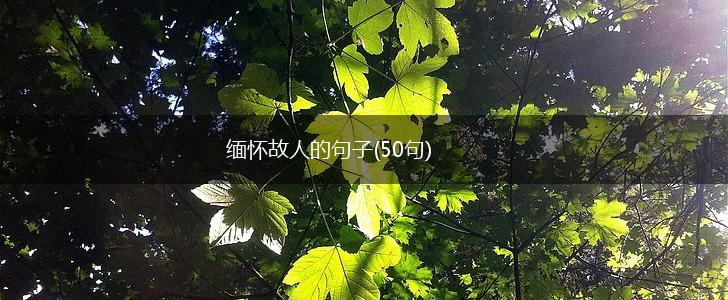 缅怀故人的句子(50句),第1张