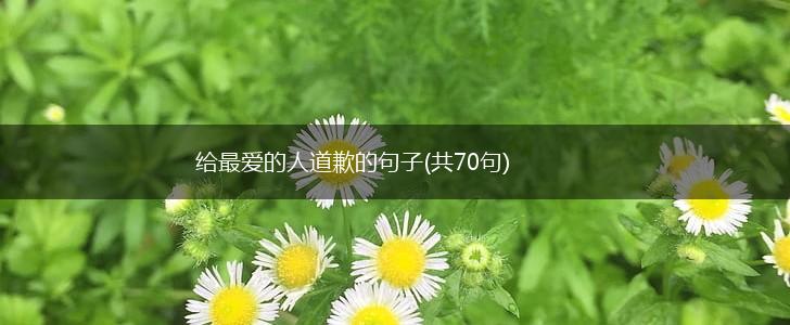 给最爱的人道歉的句子(共70句),第1张