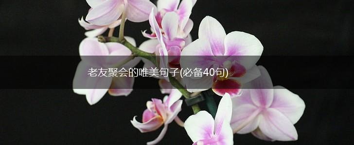 老友聚会的唯美句子(必备40句),第1张