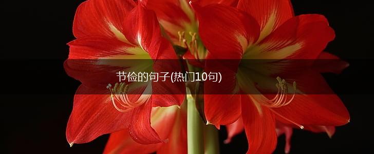 节俭的句子(热门10句),第1张